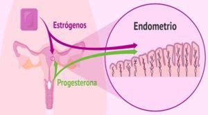 progesterona alta